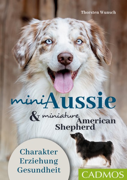 Mini Aussie und Miniature American Shepherd
